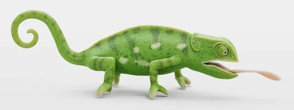 Realistisk Render Flap Necked Chameleon — Stockfoto