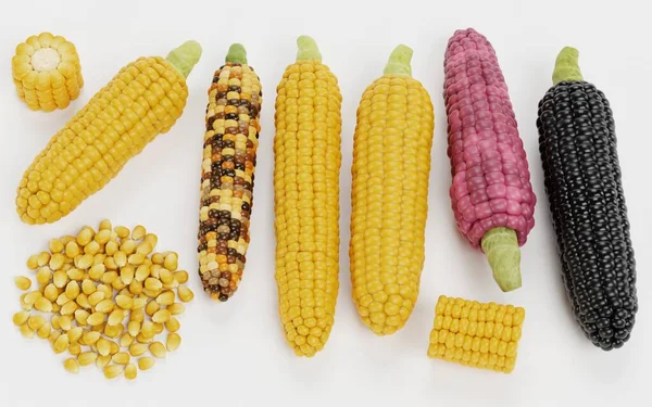 Realistic Render Corns Collection — Stock Photo, Image