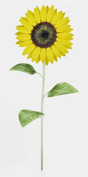 Realistische Darstellung Von Sonnenblumen — Stockfoto