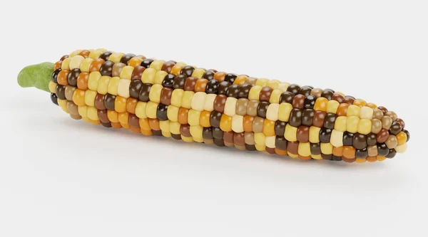 Realistic Render Corn — Stock Photo, Image