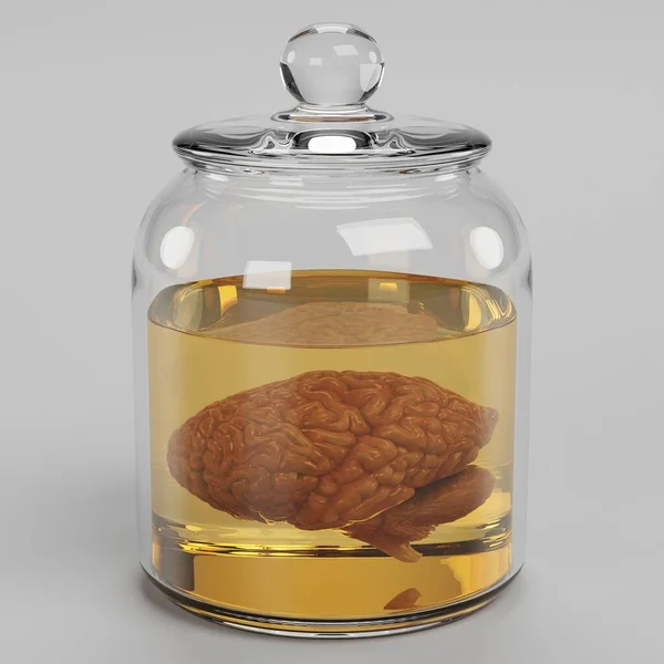 Реалістичний Рендеринг Мозку Jar — стокове фото