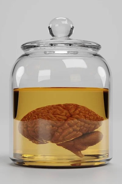 Kavanozda Beynin Gerçekçi Hazırlaması — Stok fotoğraf