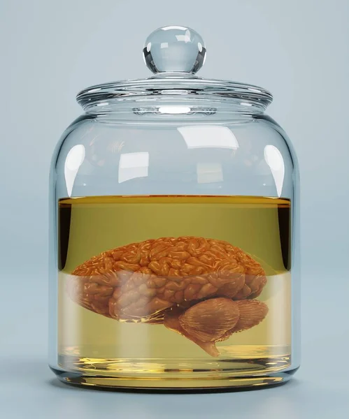 Realistic Render Brain Jar — Stock Photo, Image