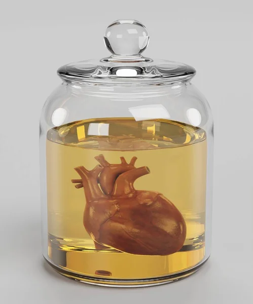 Realistic Render Human Heart Jar — Stock Photo, Image