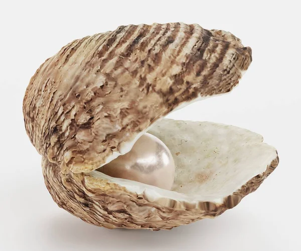壳体中珍珠的真实感3D渲染 — 图库照片