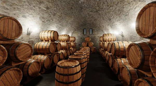 Realistic Render Wine Cellar — Stock Photo, Image
