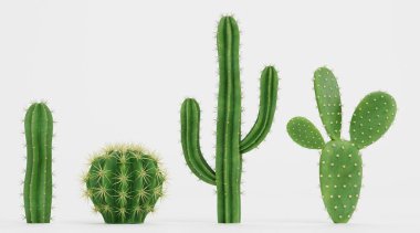 Kaktüslerin Gerçekçi 3B Render Ayarları