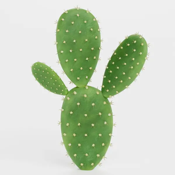 Realistische Render Van Opuntia Cactus Rechtenvrije Stockfoto's