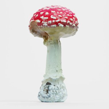 Fly Agaric Mantarının Gerçekçi 3D Yapımı