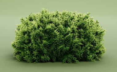 Moss 'un Gerçekçi 3 Boyutlu Çizimi