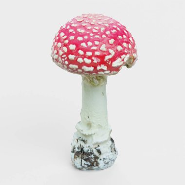 Fly Agaric Mantarının Gerçekçi 3D Yapımı