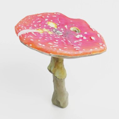 Fly Agaric Mantarının Gerçekçi 3D Yapımı