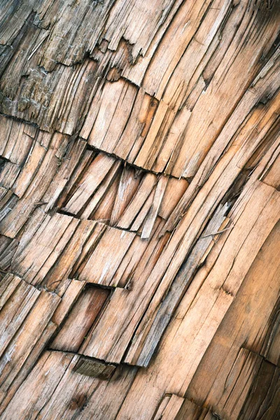 Фон Текстура Расщепленного Деревянного Ствола — стоковое фото