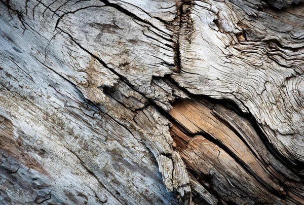 Background Texture Detail Old Dry Splintered Wood — Stock Photo, Image