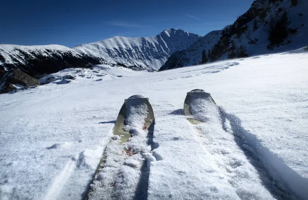 Karlı Dağların Arka Planında Skialp Kayaklarının Mevsimsel Arkaplan Görüntüsü — Stok fotoğraf