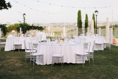 Göz kamaştırıcı bir düğün masası. Resimli bir kırsal alana kurulmuş. Düzenlemede pampalar çimenler, beyaz ve allık güller yer alıyor.