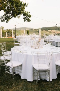 Göz kamaştırıcı bir düğün masası. Resimli bir kırsal alana kurulmuş. Düzenlemede pampalar çimenler, beyaz ve allık güller yer alıyor.