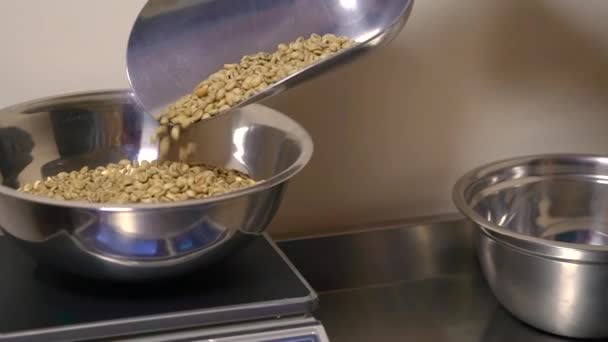 Grains Café Cru Préparation Pour Torréfaction Mesure Humidité Poids Vidéos — Video