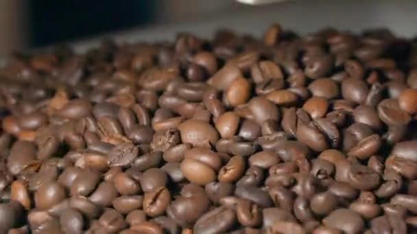 Coffee Beans Roasting View Hole Video Full — Stock Video