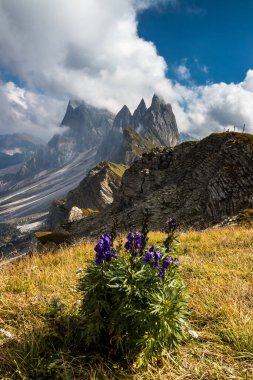 Dağın tepesindeki bulutlar Dolomitler