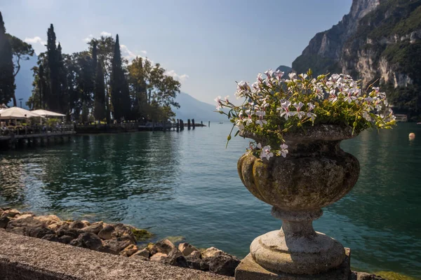 Sunny Summer Day Riva Del Garda Resort Lake Garda — Stockfoto