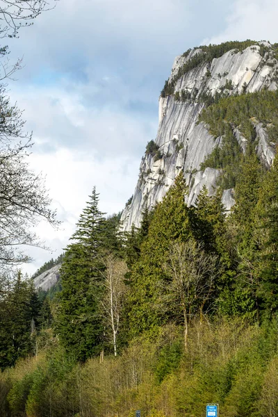 Wald Und Berge Reiselandschaft Stockfoto