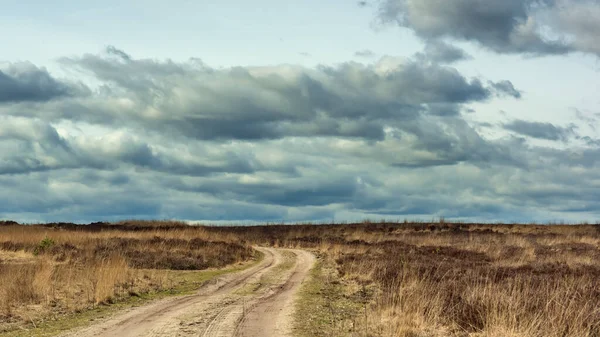 Bulutlu Bir Gökyüzünün Altındaki Fundalık Arazide Kirli Bir Yol — Stok fotoğraf