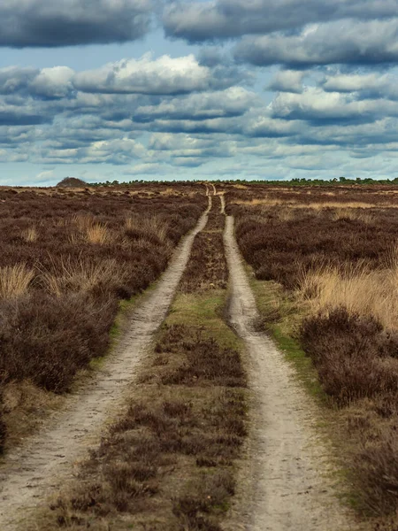 Dirt Road Heath Landscape Cloudy Sky — Stock Photo, Image