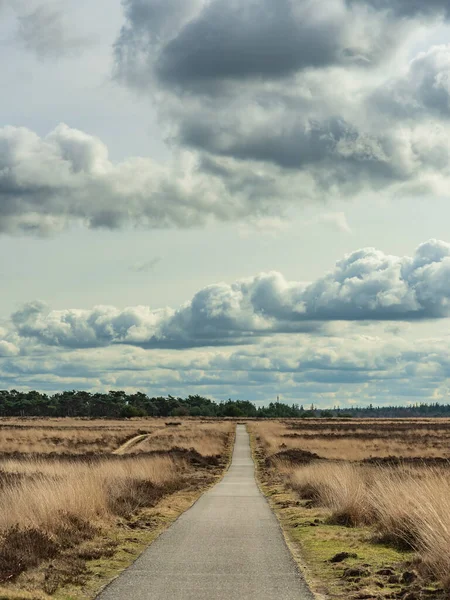 Path Heath Landscape Cloudy Sky — Stock Photo, Image