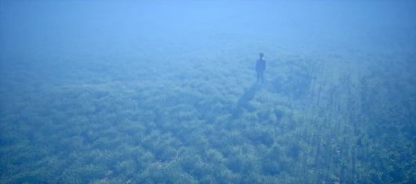 Alacakaranlıkta Kırsalda Sisli Çayırlarda Bir Çocuk Hava Görüntüsü Görüntüleme — Stok fotoğraf