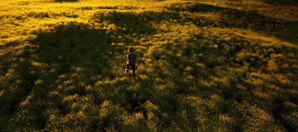 Junge Mit Dem Fuß Auf Einem Fußball Auf Der Weide — Stockfoto