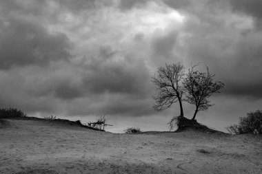 Bulutlu bir gökyüzünün altında ağaçsız kum tepeleri. Siyah beyaz fotoğraf.