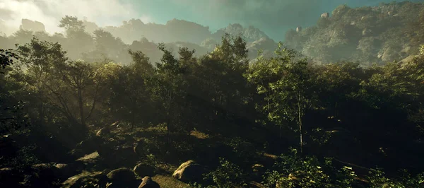 Dschungel Mit Felsen Bei Bewölktem Himmel — Stockfoto