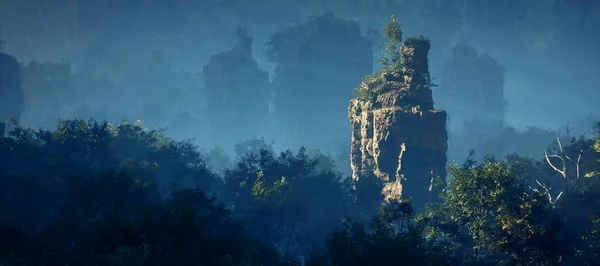 霧のジャングルの木が付いている岩の柱 — ストック写真
