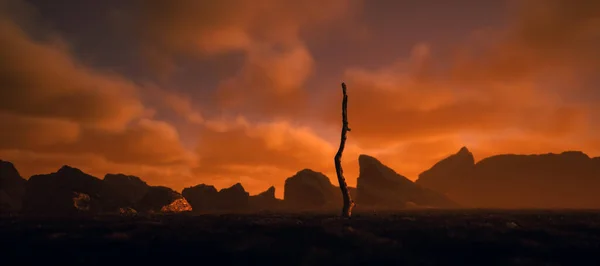 Toter Baum Trockener Felslandschaft Mit Wolkenverhangenem Himmel Bei Sonnenuntergang — Stockfoto