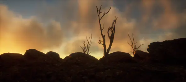 Wütende Landschaft Mit Felsen Und Toten Bäumen Unter Wolkenverhangenem Himmel — Stockfoto