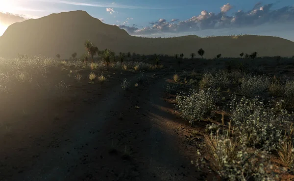 Reifenspuren Sonniger Trockener Wüstenlandschaft Mit Büschen Und Yuccabäumen Unter Blauem — Stockfoto