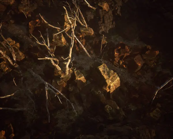 枯れた木々でできた岩の風景 トップビュー — ストック写真