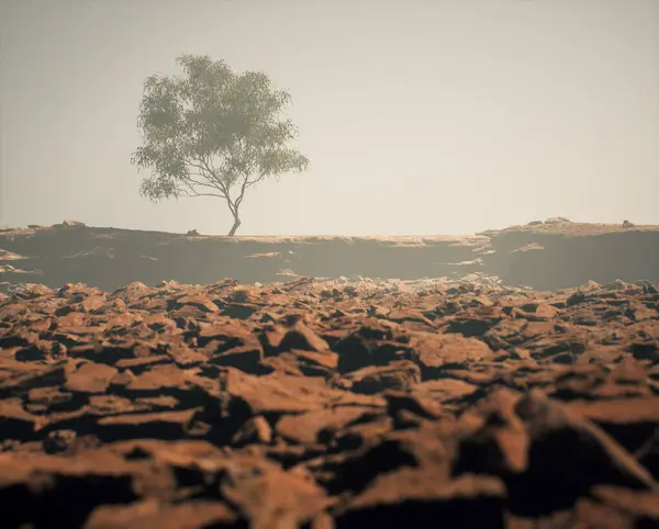 霧の中の砂岩の崖の孤独な木 — ストック写真