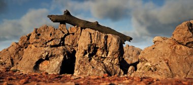 Düşen ağaç gövdesi kumtaşı kaya formasyonunda güneş ışığında mavi bir gökyüzünün altında biraz bulutla.