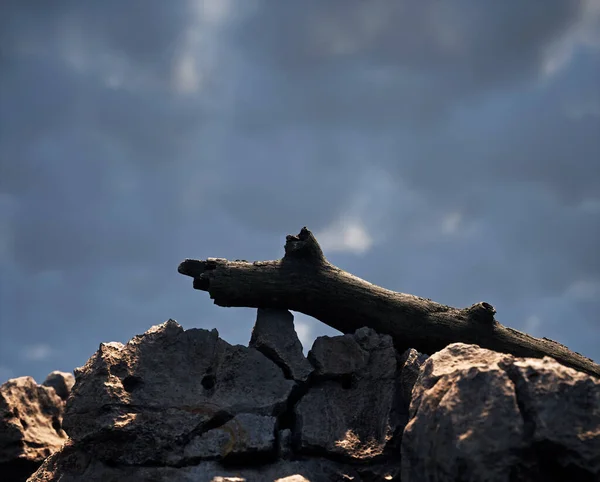 暗い曇りの空の下で日光で砂岩の岩の形成に落ちた死んだ木のトランク — ストック写真