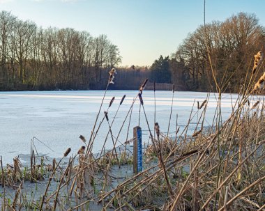 Kış boyunca güneşli bir günde kuyruklu donmuş göl ve çıplak ağaçlar..