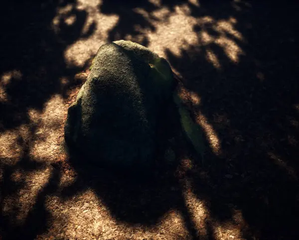 太陽光の下の葉で覆われた森の地面のモシーのボルダー — ストック写真