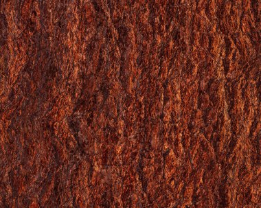 Çam kabuğunun şekli ve yapısı. Ayrıntılı çekim.