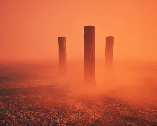 Megégett Elszenesedett Fenyőfatörzsek Ködben Szénné Égett Erdőtalajon — Stock Fotó
