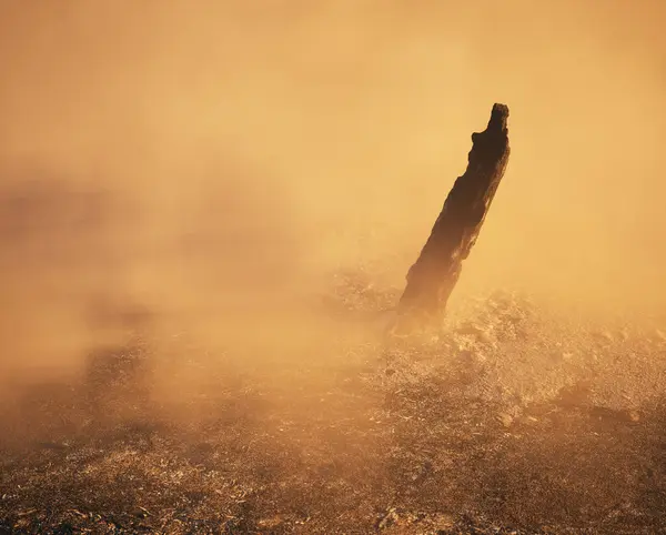 Tronco Albero Bruciato Carbonizzato Nebbia Suolo Forestale Carbonizzato — Foto Stock