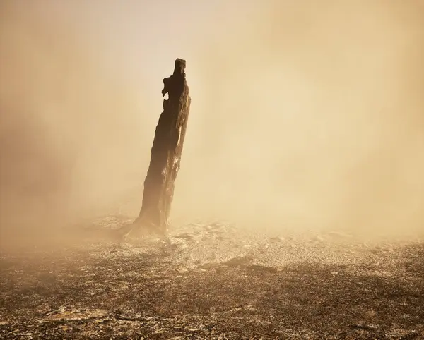 Burnt Charred Tree Trunk Mist Charred Forest Ground — Stock Photo, Image