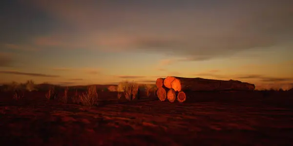 Ξυλεία Σωρός Στην Έρημο Ηλιοβασίλεμα Συννεφιασμένο Ουρανό Εικόνα Αρχείου