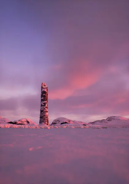 日没の丘の雪の冬の風景で松の壊れたトランク ストック写真