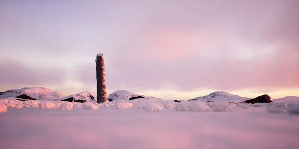 Zlomený Kmen Borovice Kopcovité Sněhové Zimní Krajině Při Západu Slunce Stock Fotografie